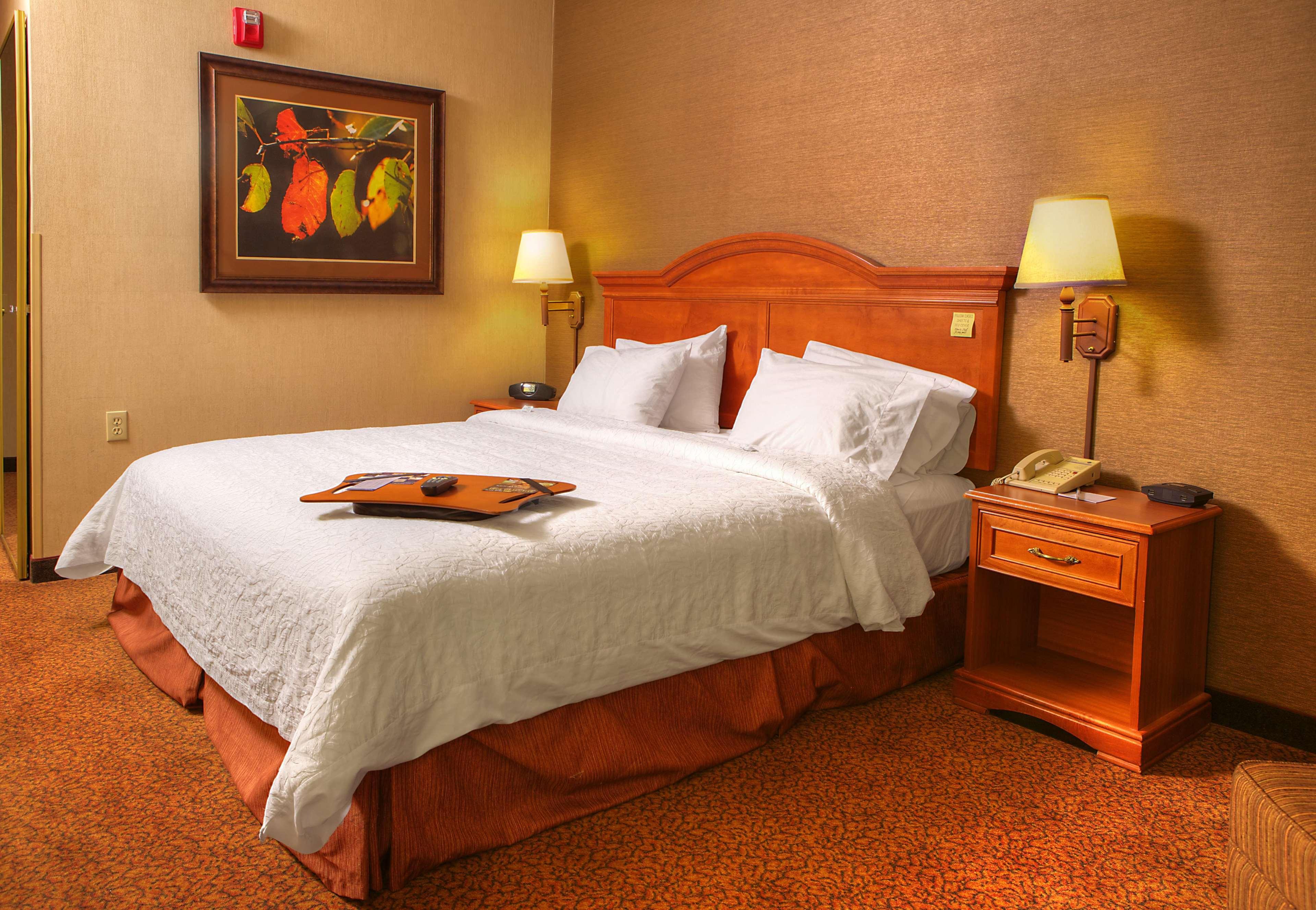 Comfort Inn & Suites Rapid City Near Mt Rushmore Εξωτερικό φωτογραφία